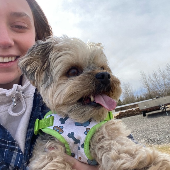 Meet your Posher, Sarah - Picture 1 of 1